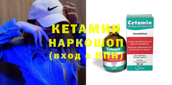 сатива Бородино