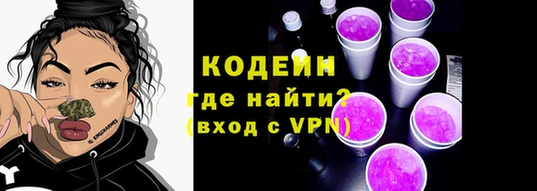 сатива Бородино
