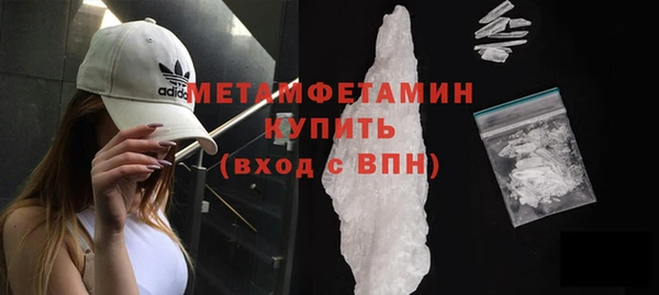 сатива Бородино