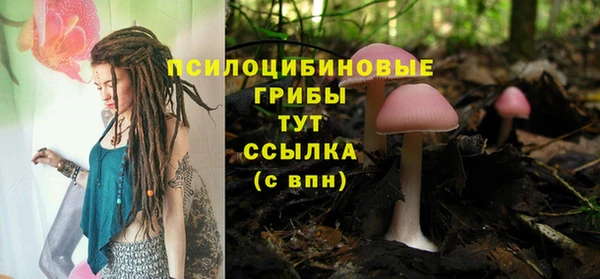 тгк Бронницы