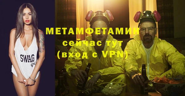 сатива Бородино
