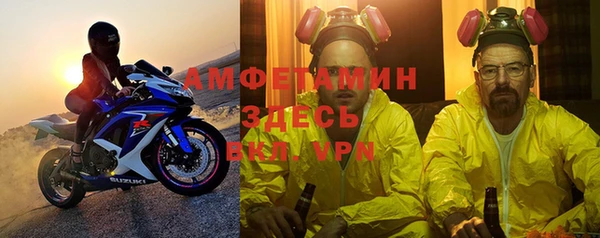 сатива Бородино