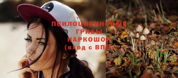 сатива Бородино