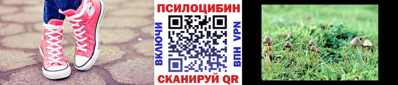 цены наркотик  Ковдор  Галлюциногенные грибы Cubensis 